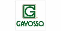 Gayosso