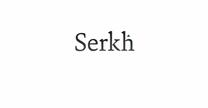 empleos de recepcionista en SERKH SA DE CV