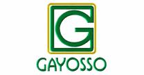 Grupo Gayosso