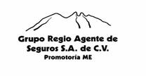 GRUPO REGIO AGENTE DE SEGUROS
