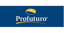 empleos de ejecutivo financiero en Profuturo