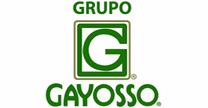 Gayosso