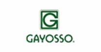 Gayosso
