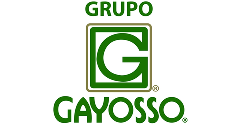 Grupo Gayosso