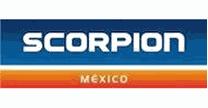 GRUPO SCORPION, S.A DE C.V