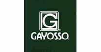 Grupo Gayosso