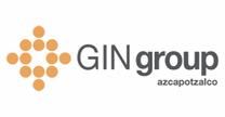 GIN Group