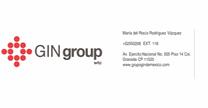 Grupo Gin