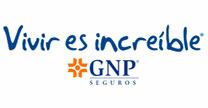 GNP