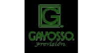 Gayosso