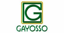 Grupo Gayosso
