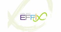 GRUPO EFFIX
