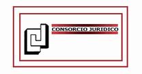 CONSORCIO JURIDICO SINERGIA EMPRESARIAL