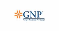 GNP
