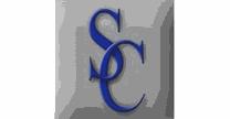 Consultoria Sanchez Colin