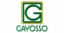 Gayosso S.A de C.V