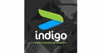 Indigo Smart Software Development