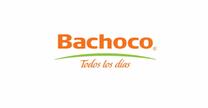 Bachoco