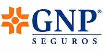 GNP SEGUROS