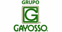 Grupo Gayosso