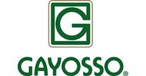 empleos de vendedor en GRUPO GAYOSSO