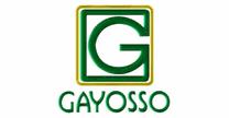 GRUPO GAYOSSO