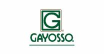 Grupo Gayosso