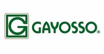 GRUPO GAYOSSO