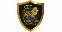 DAF ASESORIA EMPRESARIAL