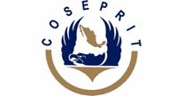 Coseprit Seguridad Privada S.A. de C.V.