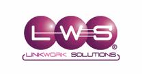 LINK WORK SOLUTION