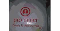 PROMUJER S.A DE C.V