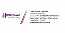 empleos de gerente financiero en starjob
