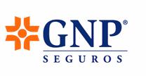 GNP