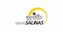 Grupo Salinas