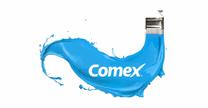 Econocomex Internacional