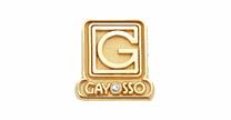 SERVICIOS COOPORATIVOS GAYOSSO