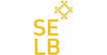 SELB consulting de México