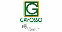 GRUPO GAYOSSO