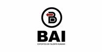 BAI EXPERTOS EN PERSONAL EXTERNO