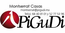 Pigudi