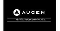Augen Opticos