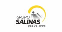 empleos de asesor para banca digital en Grupo Salinas