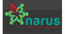 Soluciones Empresariales Narus