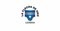 refaccionaria la flecha de oro