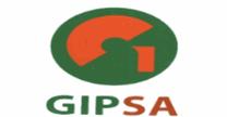 GRUPO INDUSTRIAL PERFECT S.A DE C.V