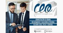 ceo business.com.mx