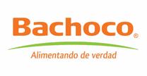 empleos de ejecutivo de ventas en BACHOCO