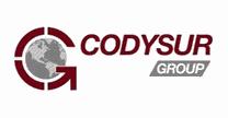 C. TRANSPORTATION SERVICES SA DE CV/ CODYRSUR GROUP