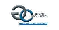 GRUPO CONSULTORES